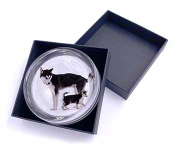 Siberian Huskies Glass Paperweight in Gift Box