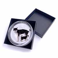 Siberian Huskies Glass Paperweight in Gift Box
