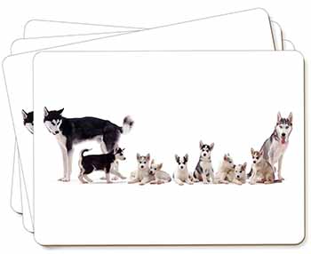 Siberian Huskies Picture Placemats in Gift Box