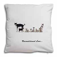 Siberian Husky Family with Love Soft White Velvet Feel Scatter Cushion