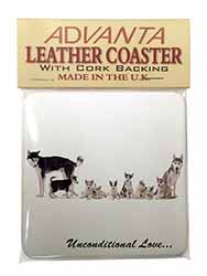 Siberian Husky Family with Love Single Leather Photo Coaster