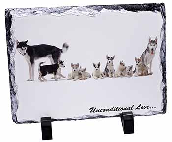 Siberian Husky Family with Love, Stunning Photo Slate