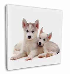 Siberian Huskies Square Canvas 12"x12" Wall Art Picture Print