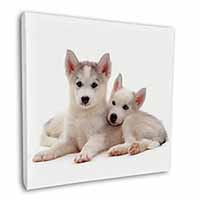 Siberian Huskies Square Canvas 12"x12" Wall Art Picture Print