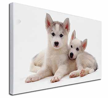 Siberian Huskies Canvas X-Large 30"x20" Wall Art Print