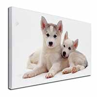 Siberian Huskies Canvas X-Large 30"x20" Wall Art Print