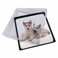 4x Siberian Huskies Picture Table Coasters Set in Gift Box