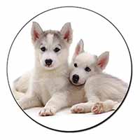 Siberian Huskies Fridge Magnet Printed Full Colour