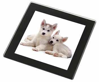 Siberian Huskies Black Rim High Quality Glass Coaster