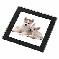 Siberian Huskies Black Rim High Quality Glass Coaster