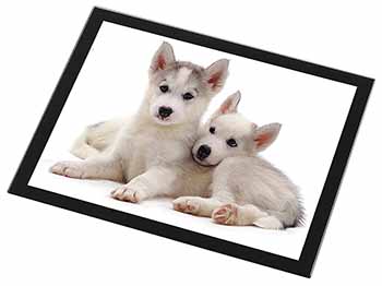 Siberian Huskies Black Rim High Quality Glass Placemat