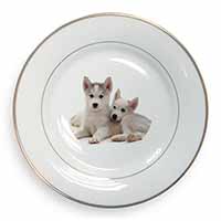 Siberian Huskies Gold Rim Plate Printed Full Colour in Gift Box