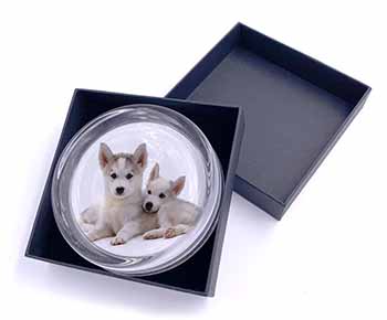 Siberian Huskies Glass Paperweight in Gift Box