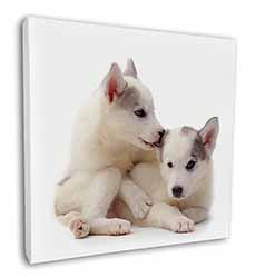 Siberian Husky Square Canvas 12"x12" Wall Art Picture Print