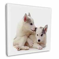 Siberian Husky Square Canvas 12"x12" Wall Art Picture Print
