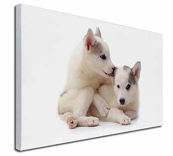 Siberian Husky Canvas X-Large 30"x20" Wall Art Print