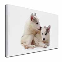 Siberian Husky Canvas X-Large 30"x20" Wall Art Print