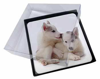 4x Siberian Husky Picture Table Coasters Set in Gift Box