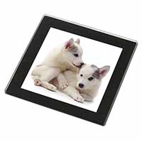 Siberian Husky Black Rim High Quality Glass Coaster