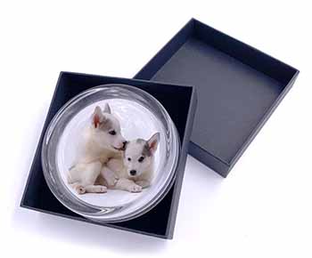 Siberian Husky Glass Paperweight in Gift Box