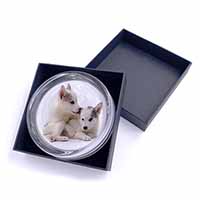 Siberian Husky Glass Paperweight in Gift Box