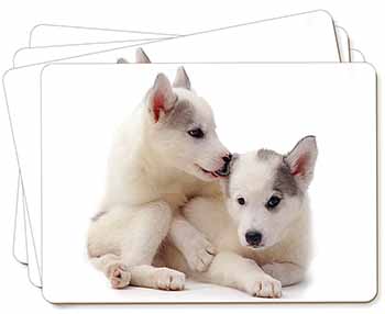 Siberian Husky Picture Placemats in Gift Box