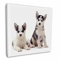 Siberian Huskies Square Canvas 12"x12" Wall Art Picture Print