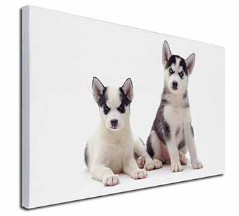 Siberian Huskies Canvas X-Large 30"x20" Wall Art Print