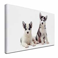 Siberian Huskies Canvas X-Large 30"x20" Wall Art Print