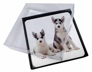 4x Siberian Huskies Picture Table Coasters Set in Gift Box
