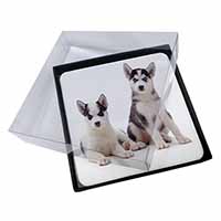 4x Siberian Huskies Picture Table Coasters Set in Gift Box