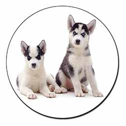 Siberian Huskies Fridge Magnet Printed Full Colour