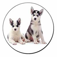 Siberian Huskies Fridge Magnet Printed Full Colour