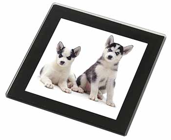 Siberian Huskies Black Rim High Quality Glass Coaster