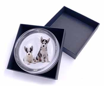 Siberian Huskies Glass Paperweight in Gift Box