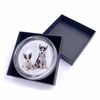 Siberian Huskies Glass Paperweight in Gift Box