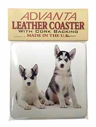 Siberian Huskies Single Leather Photo Coaster