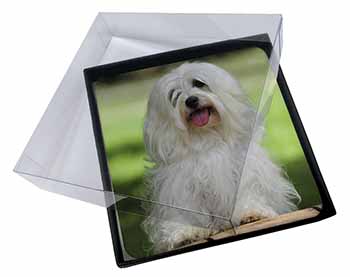 4x Havanese Dog Picture Table Coasters Set in Gift Box