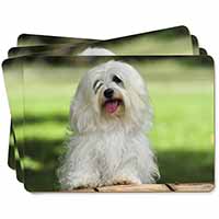 Havanese Dog Picture Placemats in Gift Box