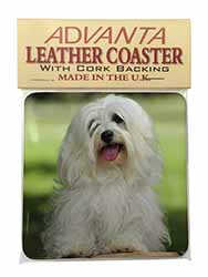 Havanese Dog Single Leather Photo Coaster
