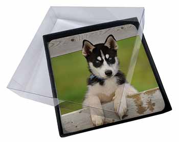 4x Husky Puppy Dog Picture Table Coasters Set in Gift Box