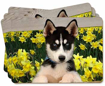 Siberian Husky by Daffodils Picture Placemats in Gift Box