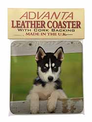 Husky Puppy Dog Single Leather Photo Coaster