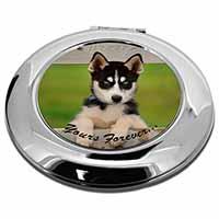 Husky Puppy 