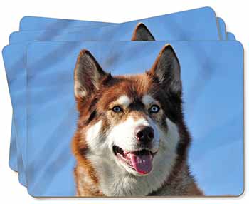 Red Husky Dog Picture Placemats in Gift Box