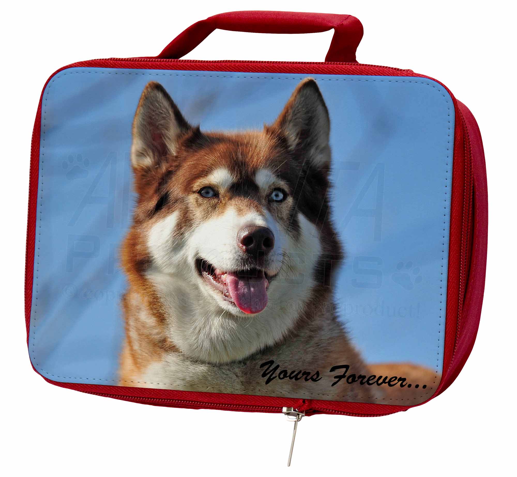 Red Husky 'Yours Forever' Insulated Red School Lunch Box/Picnic Bag, AD-H68yLBR AD-H68yLBR Bag, 084d74 Red Husky 'Yours Forever' Insulated Red School Lunch Box/Picnic Bag, AD-H68yLBR AD-H68yLBR Bag, 084d74