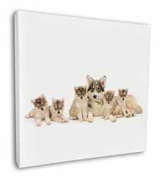 Utonagan Puppy Dogs Square Canvas 12"x12" Wall Art Picture Print