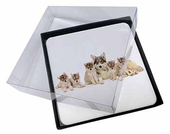 4x Utonagan Puppy Dogs Picture Table Coasters Set in Gift Box