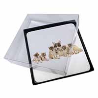 4x Utonagan Puppy Dogs Picture Table Coasters Set in Gift Box
