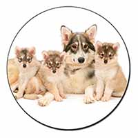 Utonagan Puppy Dogs Fridge Magnet Printed Full Colour